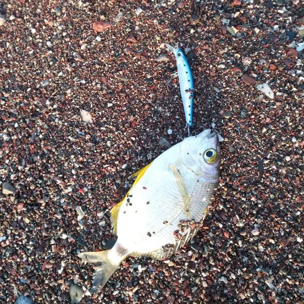 Hunthouse Sinking Jerkbait