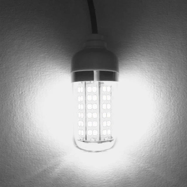 Underwater LED Fishing Light | AC/DC 12V | IP68 Waterproof | Multicolour Bait Attractor for Prawns, Squid & Fish