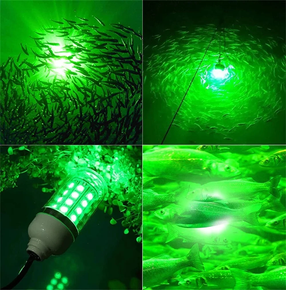 Underwater LED Fishing Light | AC/DC 12V | IP68 Waterproof | Multicolour Bait Attractor for Prawns, Squid & Fish