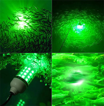 Underwater LED Fishing Light | AC/DC 12V | IP68 Waterproof | Multicolour Bait Attractor for Prawns, Squid & Fish