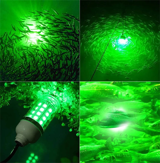 Underwater LED Fishing Light | AC/DC 12V | IP68 Waterproof | Multicolour Bait Attractor for Prawns, Squid & Fish