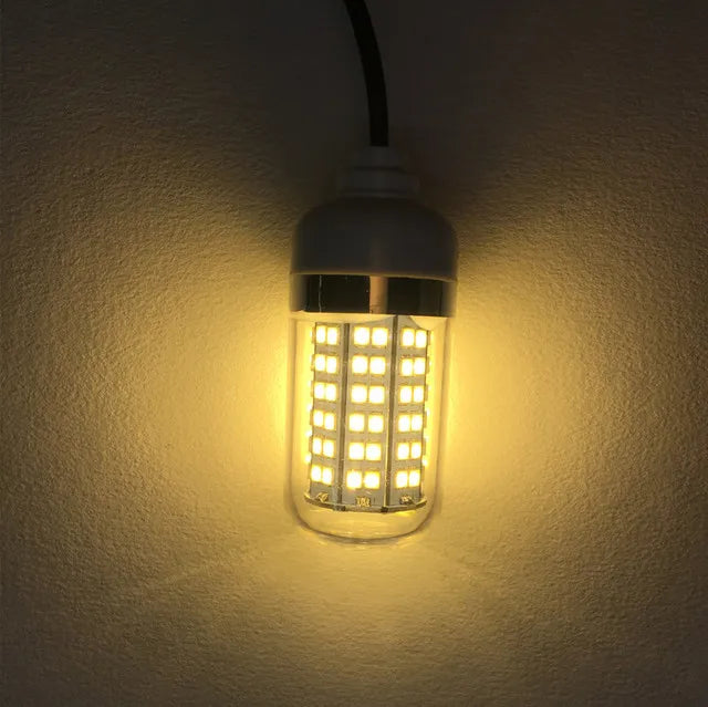 Underwater LED Fishing Light | AC/DC 12V | IP68 Waterproof | Multicolour Bait Attractor for Prawns, Squid & Fish