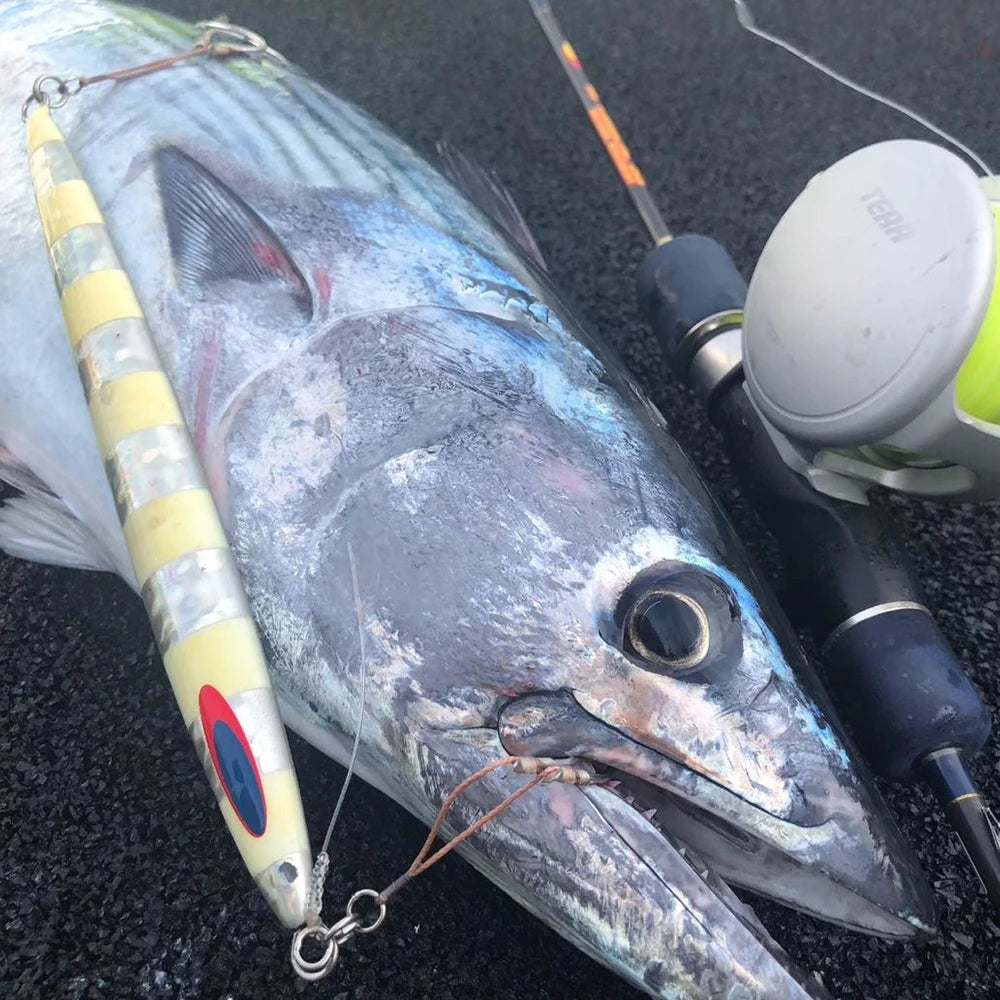 Speed Jigs 100 - 400g without assist hooks